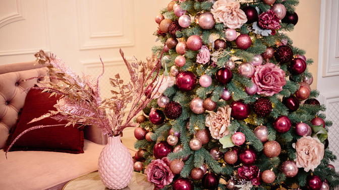 Have you already put up your Christmas tree?