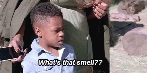 What food makes you the most gassy?