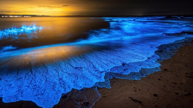 Have you ever seen sand glow beneath your feet at the beach?