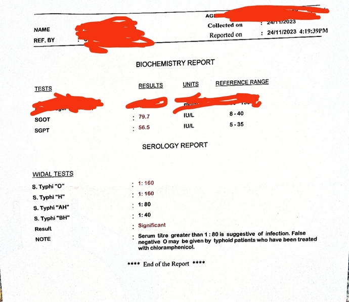 What are your opinion on this reports?