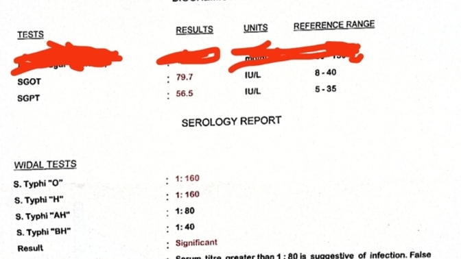 What are your opinion on this reports?