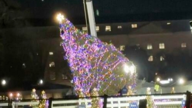 Nation's Christmas tree falls over. More bad news for Joe?