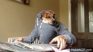 Do you still read a newspaper?