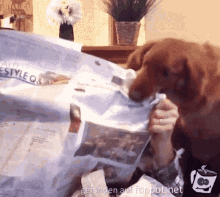 Do you still read a newspaper?