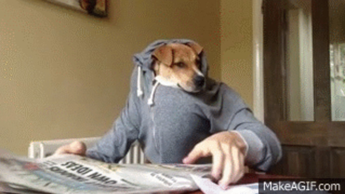 Do you still read a newspaper?