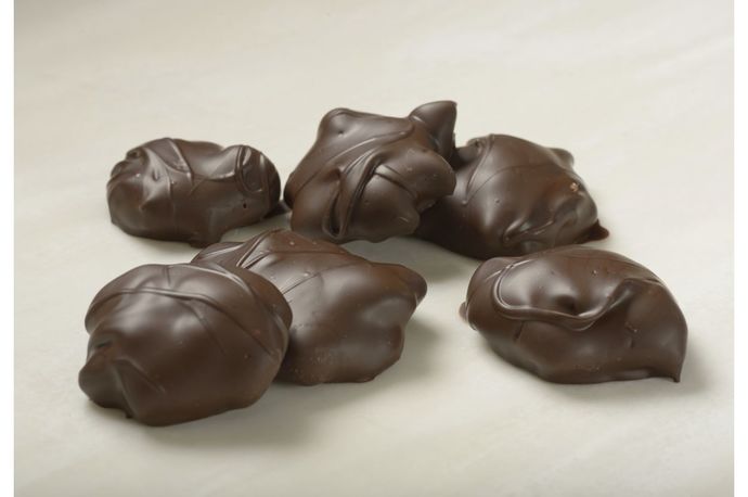 Do you like turtles?