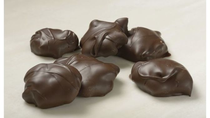 Do you like turtles?