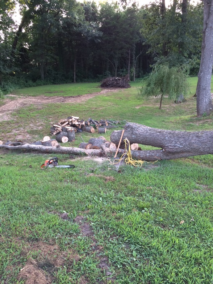 Chain saw better for sectioning