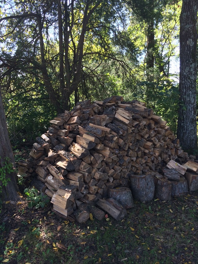 Almost a cord of Black Ash timber