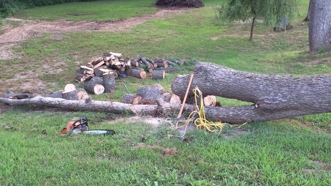 Have you ever chopped down a tree or split wood?