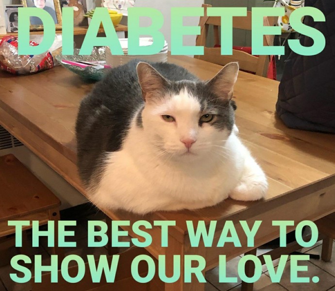 That's one Fatty Alfredo cat.