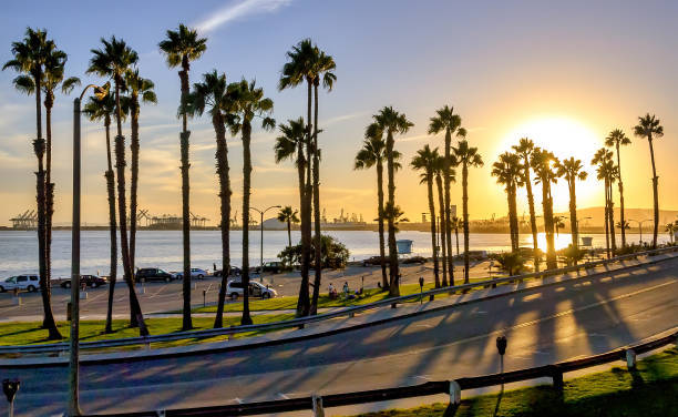 If you’re forced into living in one of these cities, which one would you choose ?