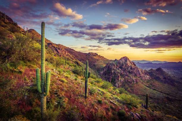 If you’re forced into living in one of these cities, which one would you choose ?