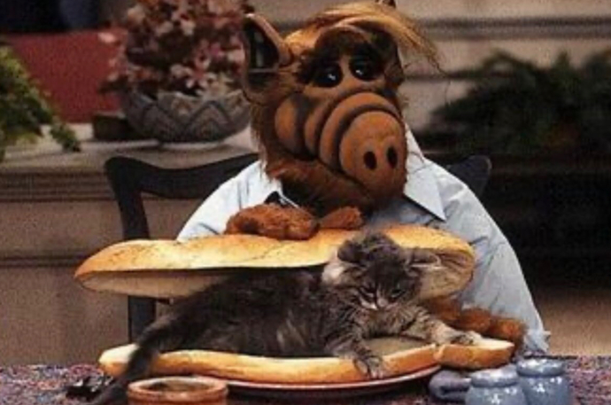 I would call ALF!