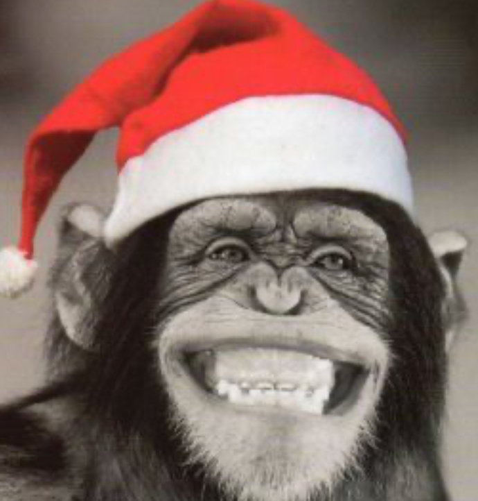 If you got a Christmas gift pet monkey, what name would you call it?
