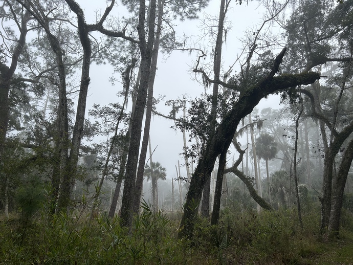 Do you ever enjoy a hike during a thunderstorm? I love the energy! π?