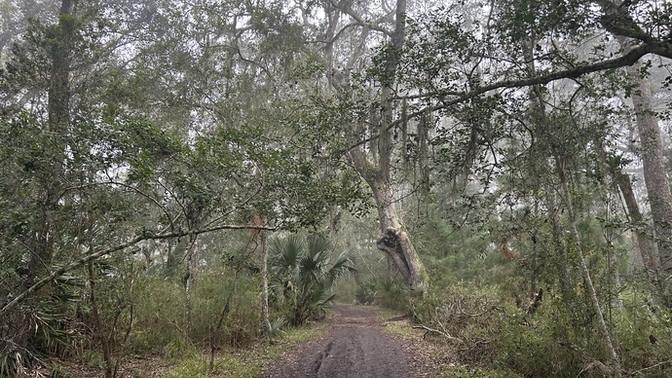 Do you ever enjoy a hike during a thunderstorm? I love the energy! 😃?