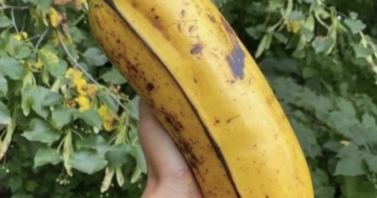 What’s your favorite fruit? GirlsAskGuys