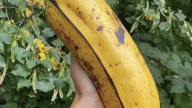 What’s your favorite fruit?