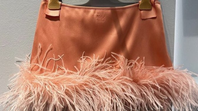 Miu Miu feather mini skirt?
