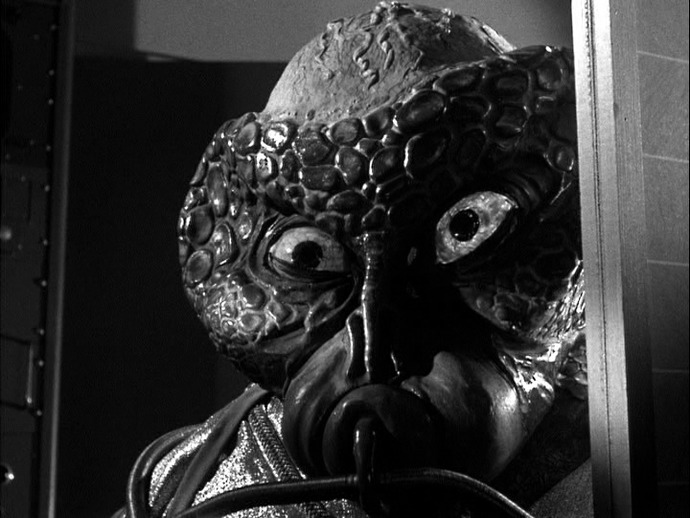 What do you think of this fish?