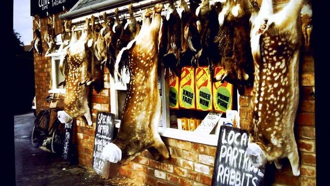If you've eaten WILD game, where did you get it?