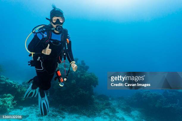 Have you ever been scuba diving?