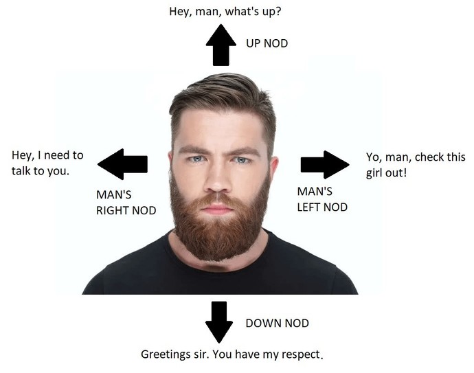 Do women have a similar form of communication like men do with head nods?