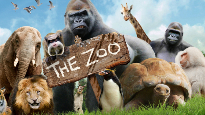 What’s your opinion of Zoos?