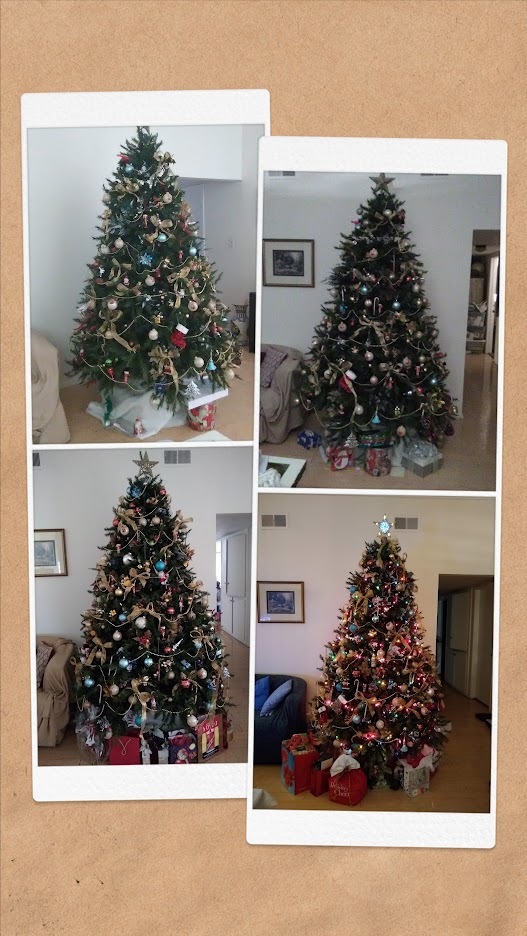 Real tree or fake tree? GirlsAskGuys