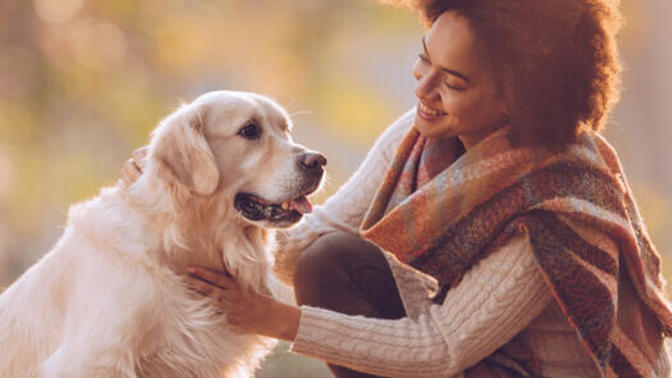 What's your favorite dog breed as a pet?