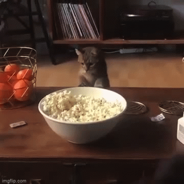What are some annoying things about horror movies?