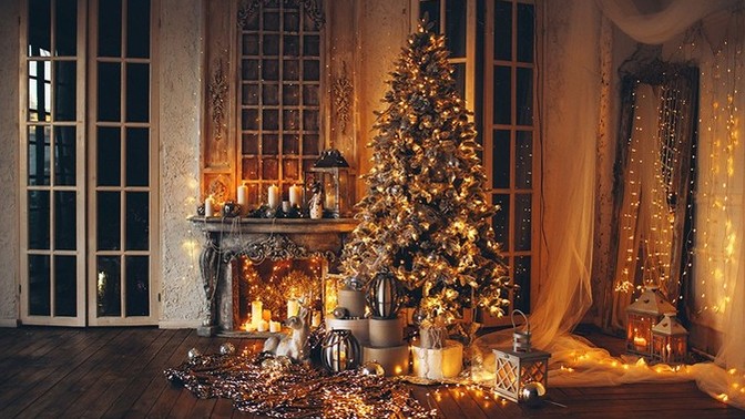 What is your Christmas plan?