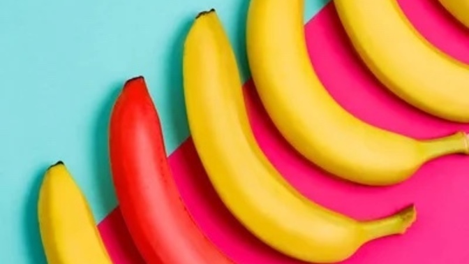 Which bananas do you like more: Red or Yellow?