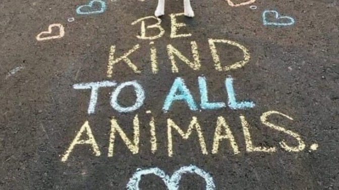 Are you kind to all animals?