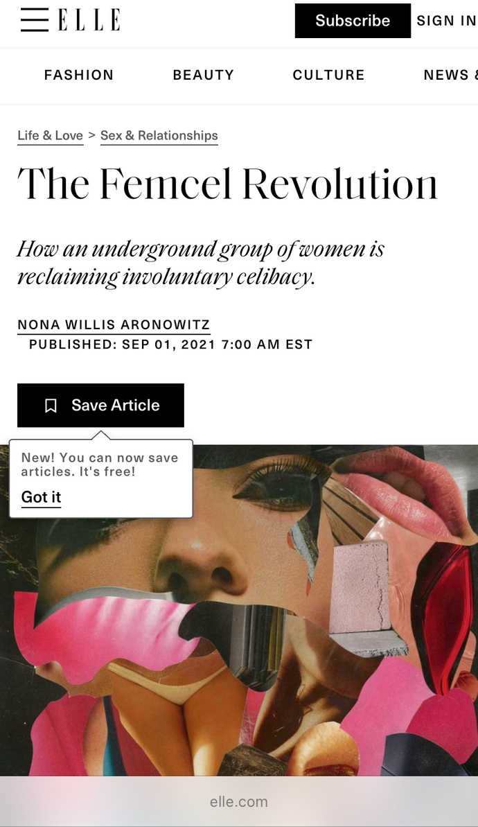 What makes a man become an "incel" - is it him or society?