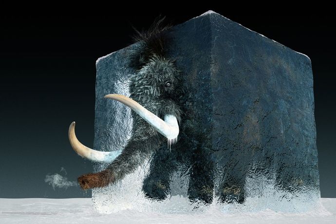 Should endangered animals be turned into farm animals (if they are able to be domesticated) to keep the species alive?
