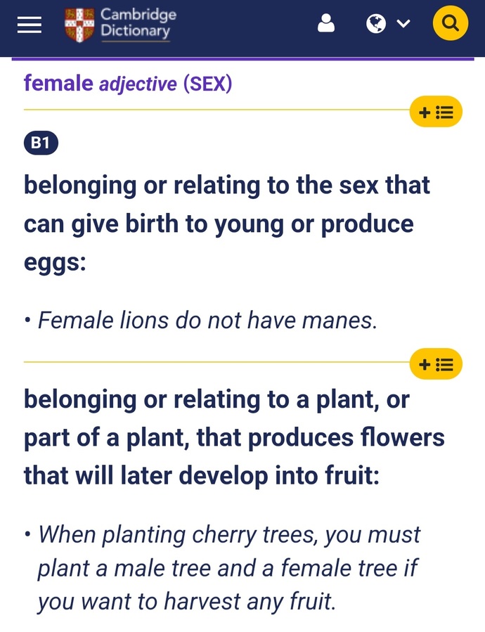 Which other words do we need to preserve?