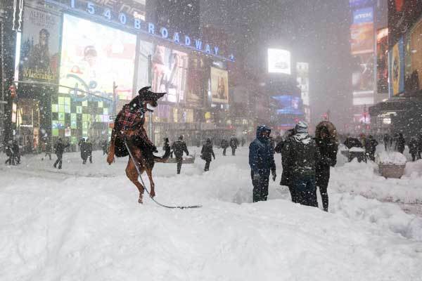 Times Square blizzard 2016