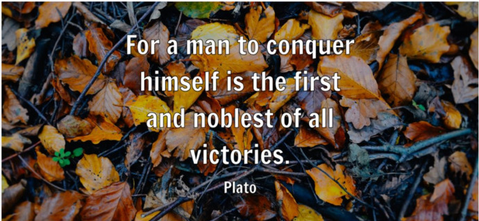 Which of these Plato quotes do you like the most?