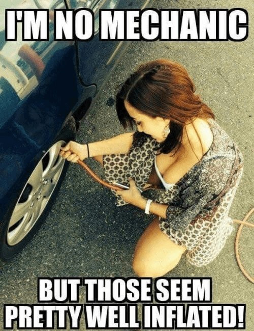 Ladies, would you date a mechanic?
