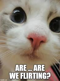 Are you more attracted to deeper or higher voices?