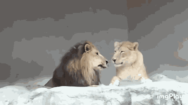 Men, how often do you want to be babied by your woman?