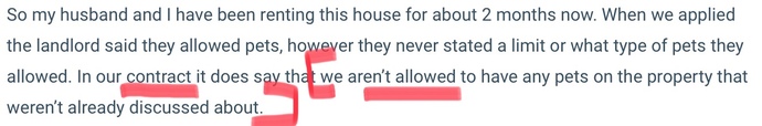 How do I ask my landlord if I can have another pet?