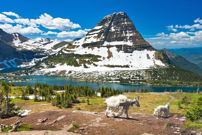 Montana vs North Carolina. Which state would YOU rather live in ?
