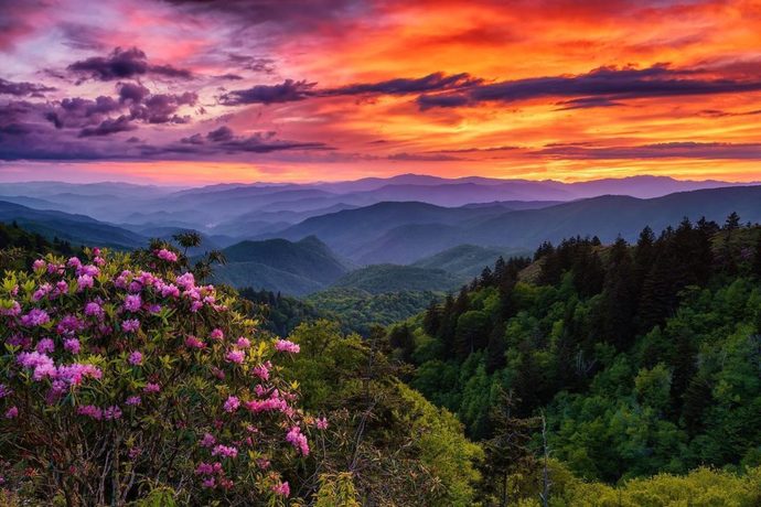 Montana vs North Carolina. Which state would YOU rather live in ?