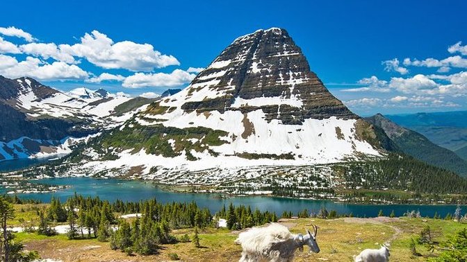 Montana vs North Carolina. Which state would YOU rather live in?