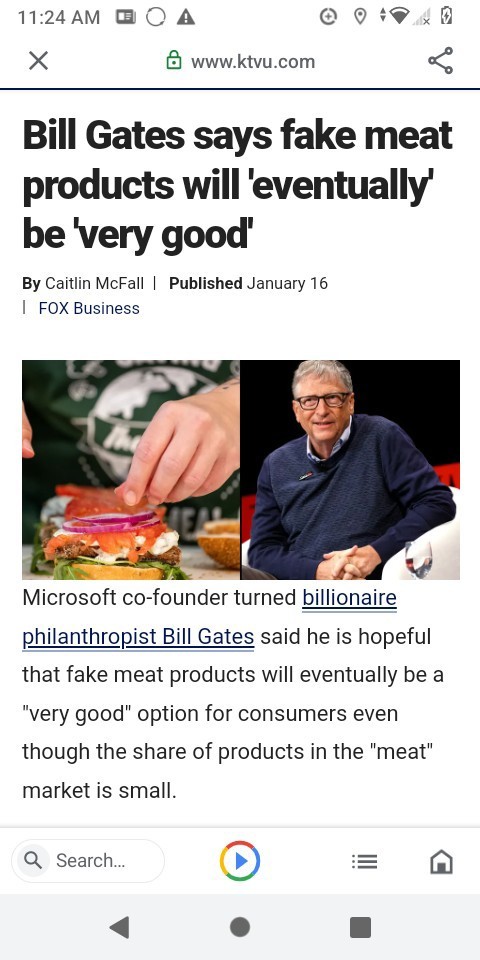 How do you feel about silicone food (such as chicken) being sold and put on the market for people to buy and consume?