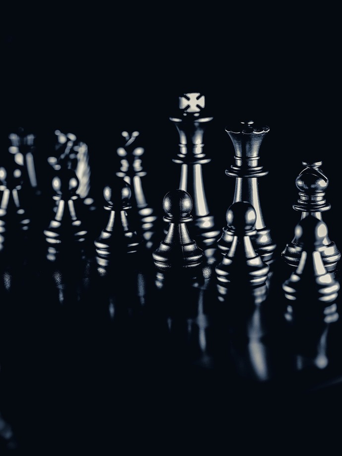 Are you good at chess and have you participated in tournaments?