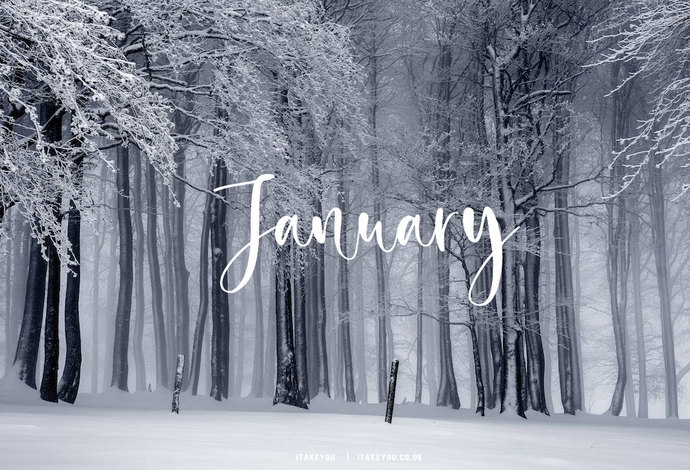 I love the Holiday theme background every year. Can we have a festive background for each month?